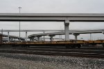 PTTX 251082